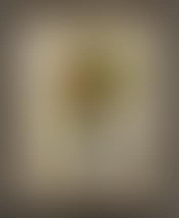 Les soucis (preview)