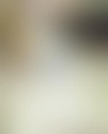 5.2.81 (preview)