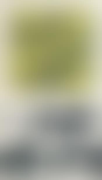 Which is outside no.12 (preview)