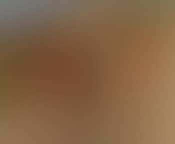 Vendanges (preview)