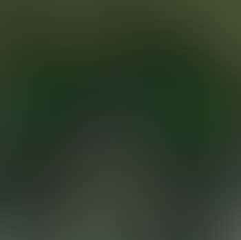 Ireos (preview)