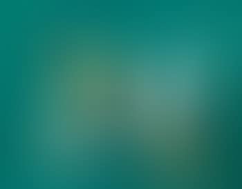 Composition (preview)