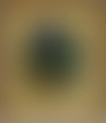 Landscape (preview)