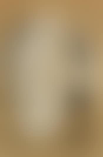 Akt mit Badetuch (preview)