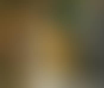 das blätterbild (preview)