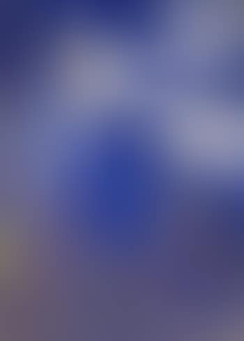 Funkien auf Blau (preview)