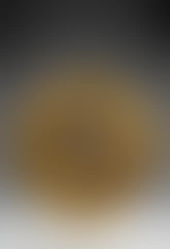 Torse (preview)