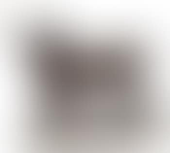 Taureau romain (preview)