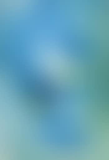 Ohne Titel (preview)