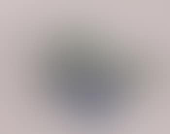 Nature morte aux raisins (preview)