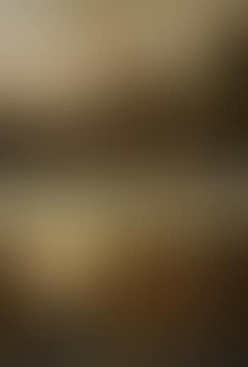 Begegnungen in der Landschaft (preview)