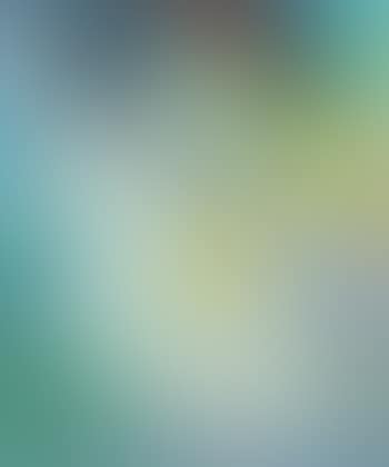 Maternite (preview)