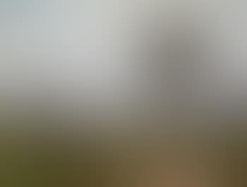 Landschaft bei Luzern mit weidenden Kühen, von Langensand aus gesehen (preview)
