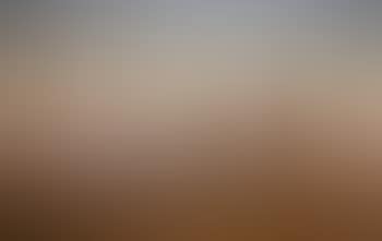 Camel caravan on the road to the Dead Sea (preview)
