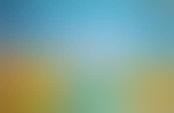 Landscape (preview)