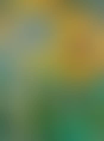 Two sunflowers and opening bulb (preview)
