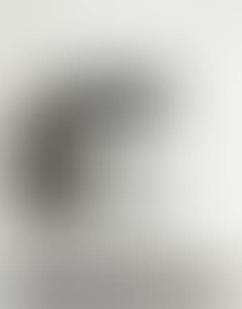 Sherwin-Williams Turpentine, from Product Still Lifes (preview)