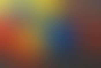 Adjunta (preview)