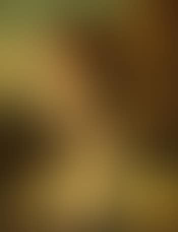 Portrait Of a Young Lady (preview)