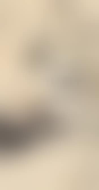 Peacock (preview)