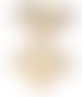 Bamboo. Calligraphy by Shen Yinmo (preview)