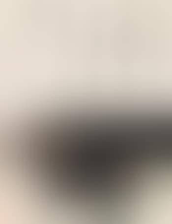 Calligraphy. Painting by Chen Peiqiu (preview)