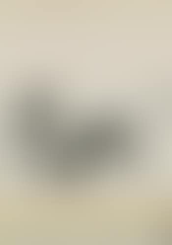 Two donkeys (preview)
