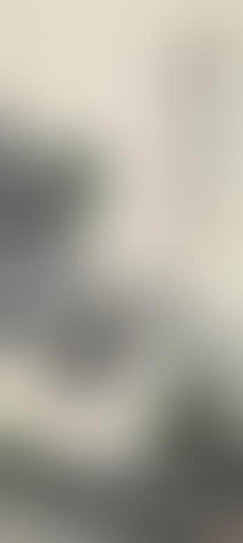 Landscape (preview)