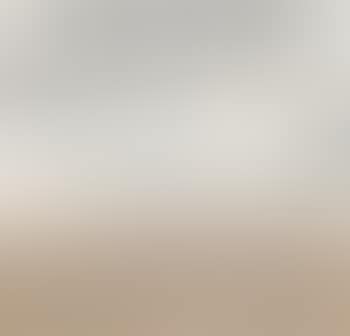 Landscape (preview)
