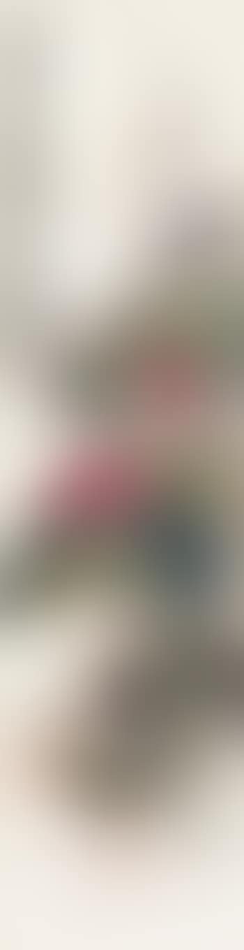 Red Lotus (preview)