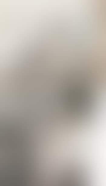 Landscape (preview)