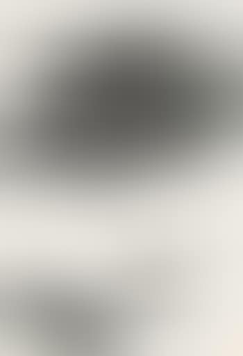 Landscape (preview)