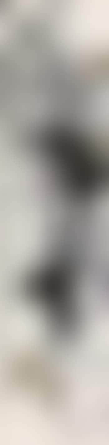 Grape Plant (preview)