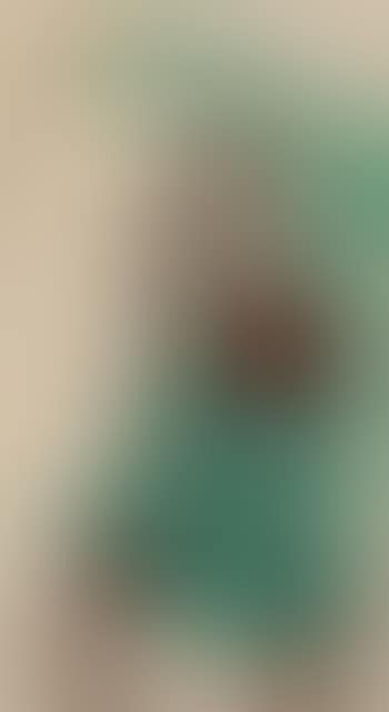 Peony, Bamboo And Butterfly (preview)