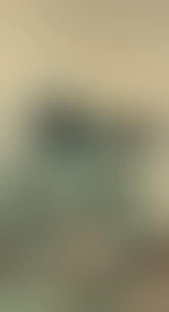 Landscape After Song Master (preview)