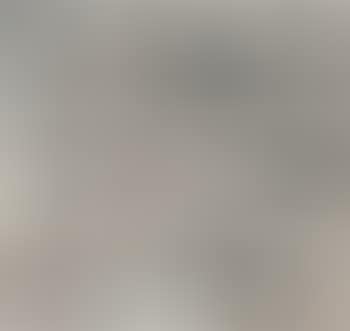 Landscapes (preview)