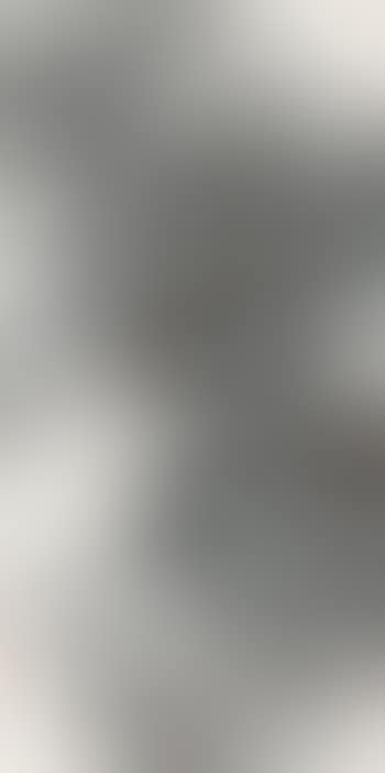 Landscape (preview)