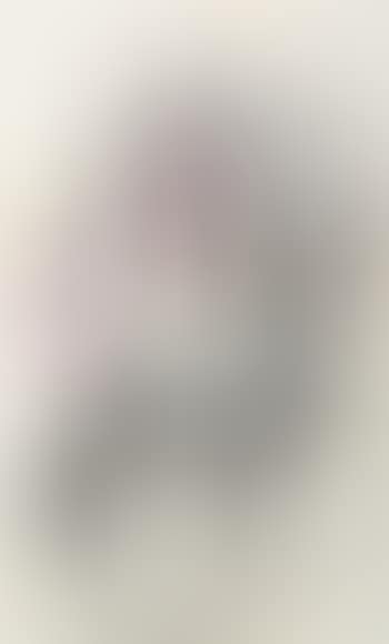 Figure (preview)