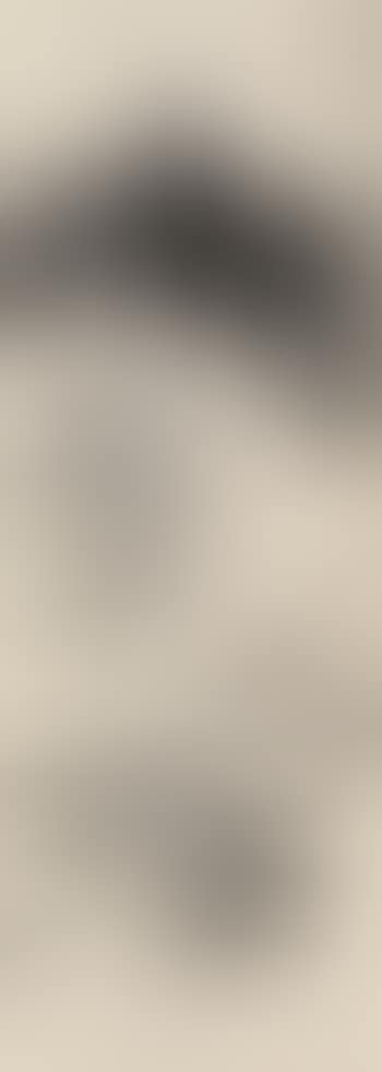 Shrimp Swimming (preview)