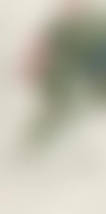Morning Glory And Dragonflies (preview)