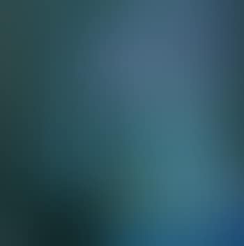 Still Life (preview)