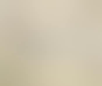 Draft Of Mt Hua (preview)