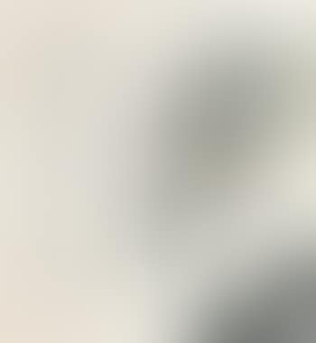 Gazing At Waterfall. Calligraphy (preview)