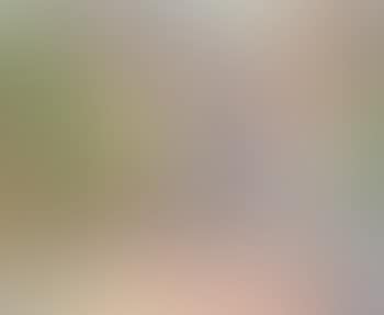 Paysage parisien (preview)