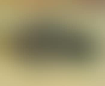 Stillleben mit Hummer (preview)