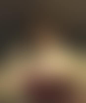 Portrait of a lady (preview)