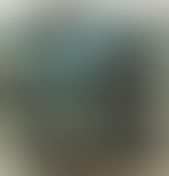Landscape (preview)