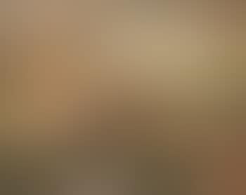 Honfleur (preview)