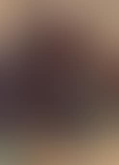 Abendlicher Wald (preview)