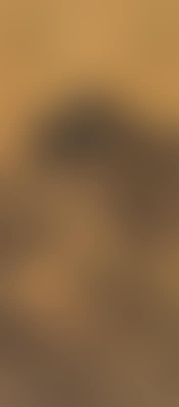 Landscape (preview)